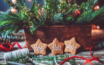 Newsletter : Happy Holidays